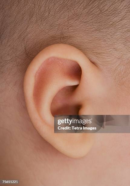 close up of baby's ear - earlobe stockfoto's en -beelden