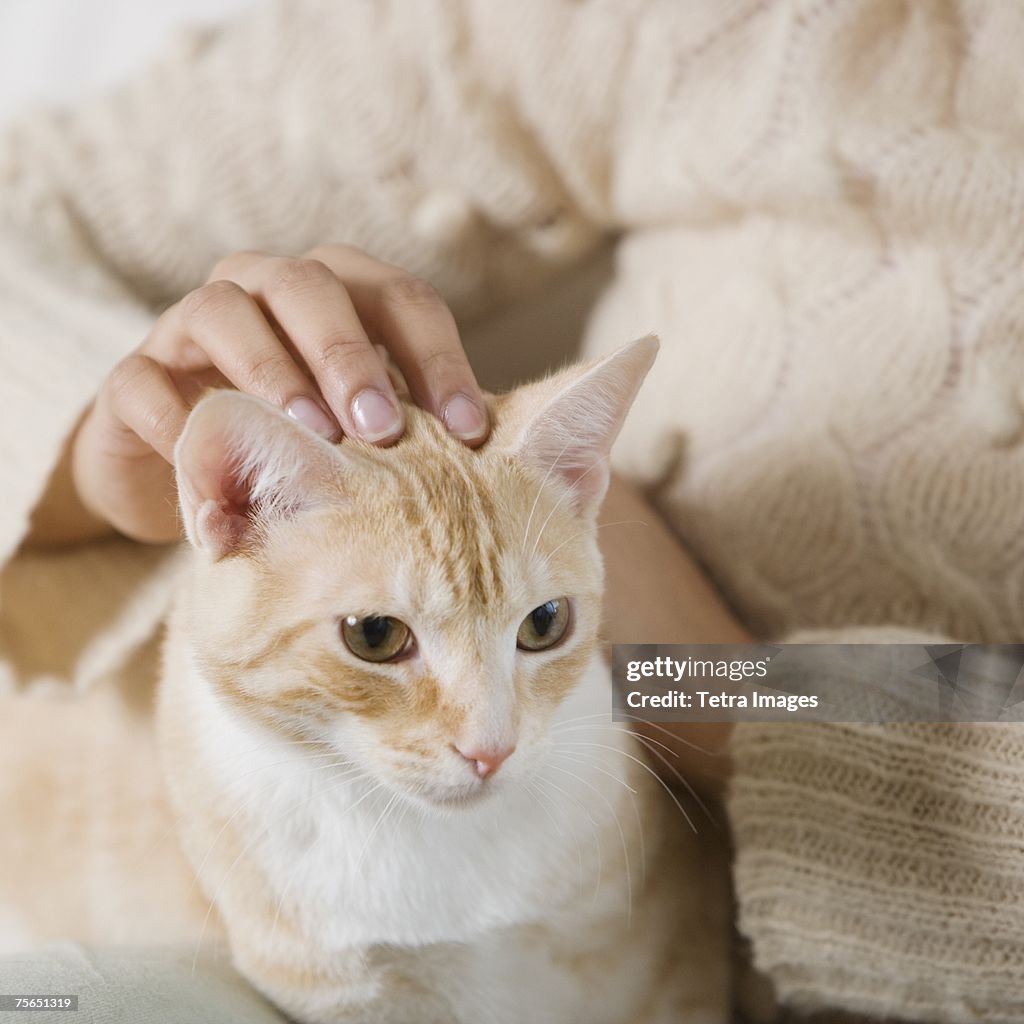 Indian woman petting cat