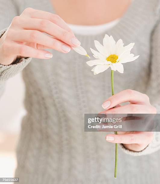 woman pulling petal off flower - 花びら占い ストックフォトと画像