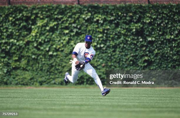 Sammy Sosa of the Chicago Cubs making a catch in the outfield during a MLB game against the San Diego Padres on June 3, 1992 in Wrigley Field in...