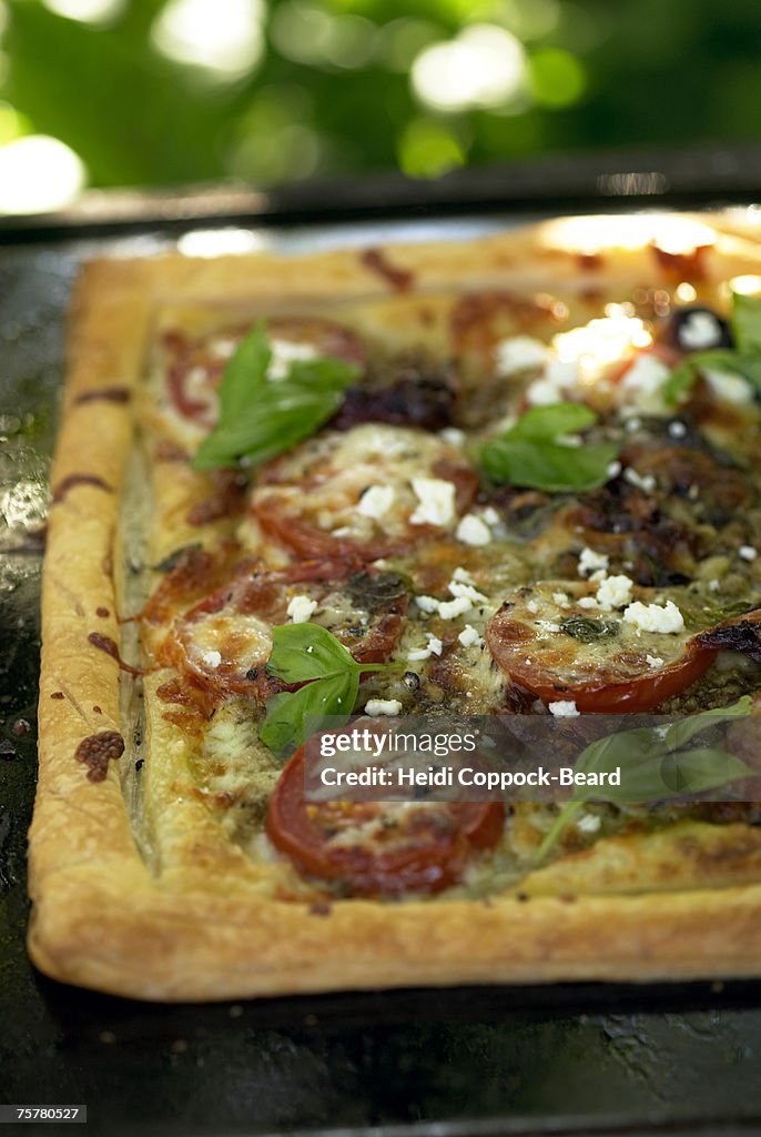 Pizza with tomatoes and basil on tray, close-up