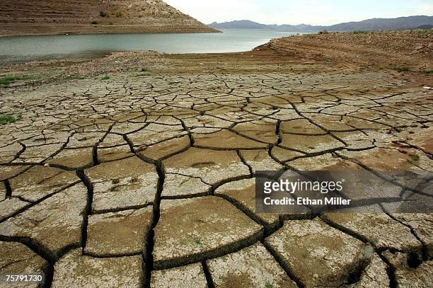 Cracked earth is seen in an area that was until recently underwater July 26, 2007 in the Lake Mead National Recreation Area, Nevada. A seven-year...