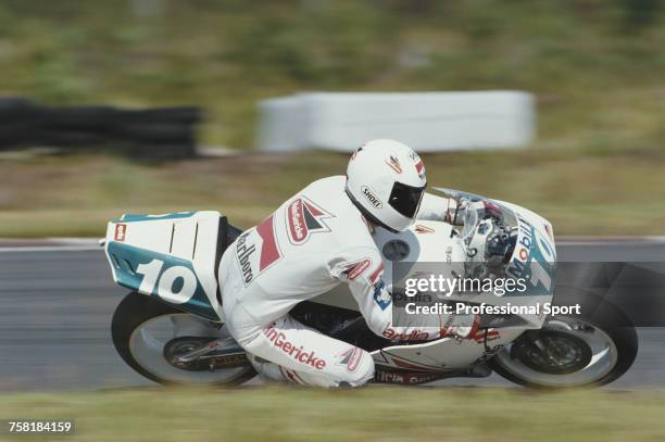 German Grand Prix motorcycle road racer Martin Wimmer rides the 250cc Hein Gericke Aprilia to finish in 7th place in the 1990 Swedish 250cc...