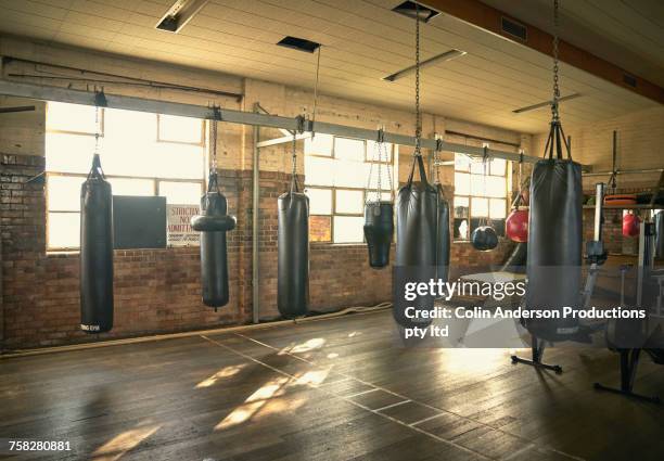 punching bags in empty gymnasium - boxing fotografías e imágenes de stock