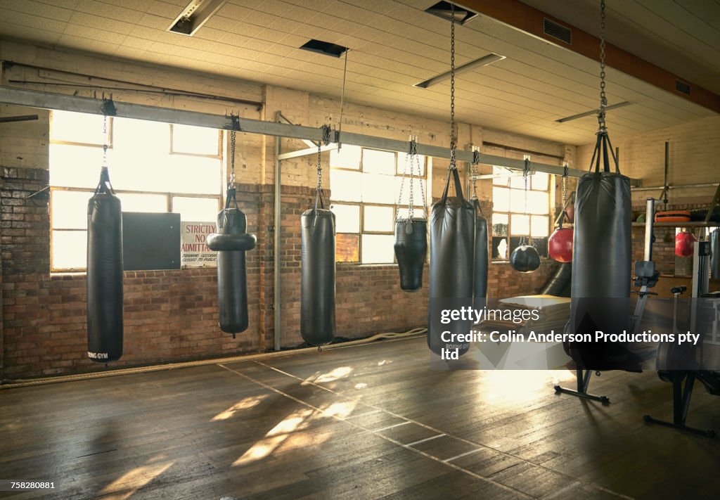 Punching bags in empty gymnasium