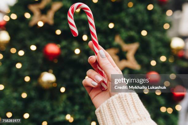 hand of caucasian woman holding candy cane near christmas tree - candy cane stock pictures, royalty-free photos & images