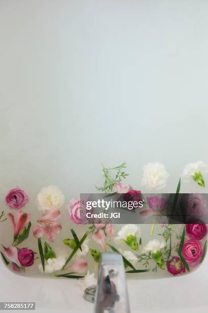 flowers floating under faucet in a milk bath - milchbad stock-fotos und bilder