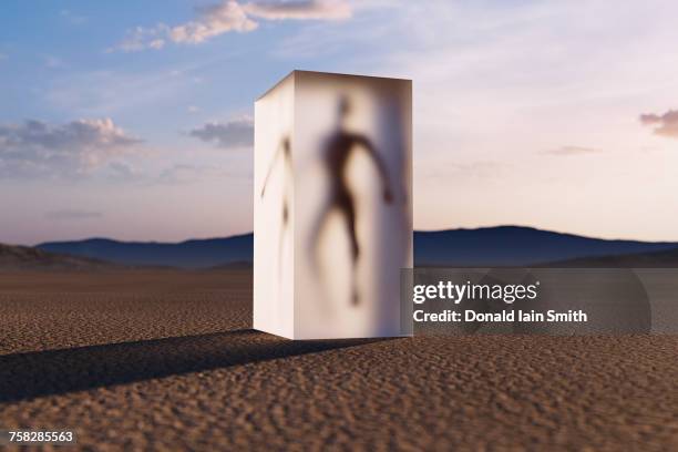 person frozen in suspended animation in desert - cryogenics stockfoto's en -beelden