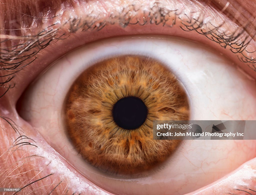 Close up of brown eye