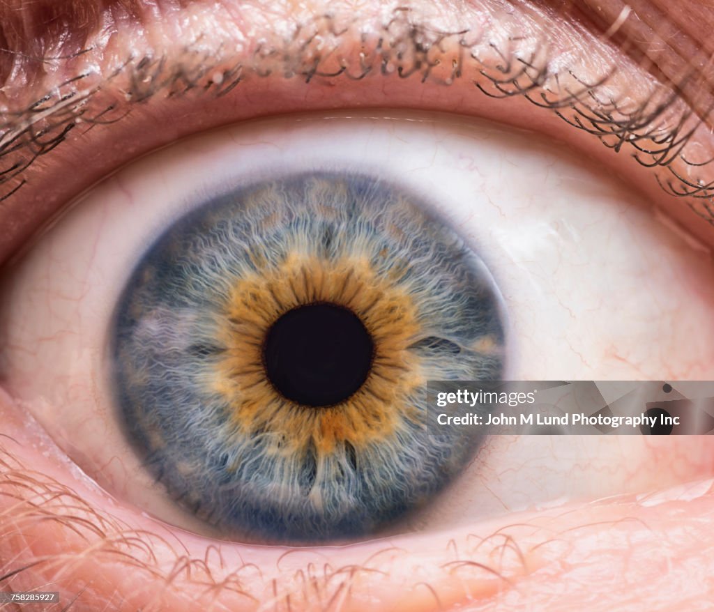 Close up of blue and brown eye