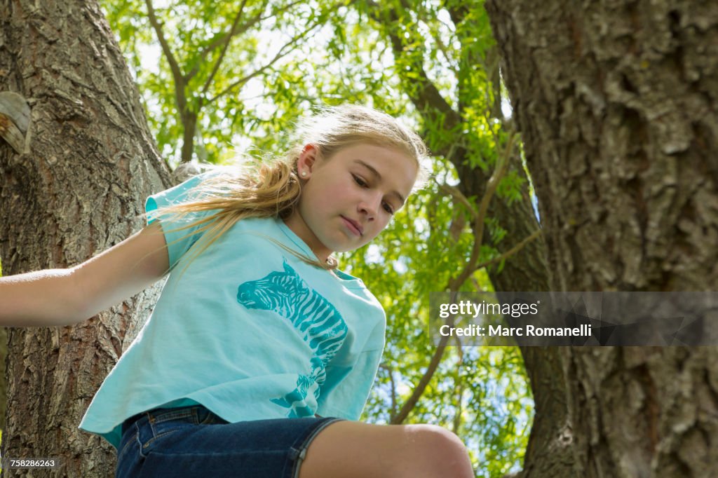 Clining Tree Caucasian Girl Climbing Tree High-Res Stock Photo - Getty Images