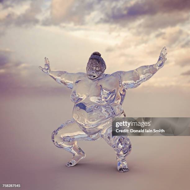 crouching transparent sumo wrestler - isskulptur bildbanksfoton och bilder