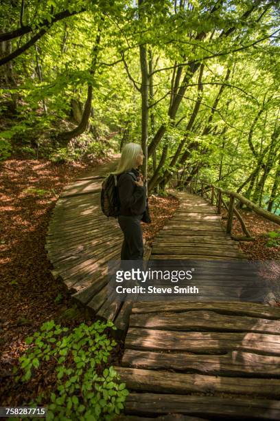 older caucasian woman walking on wooden pathway in forest - kommunen lika senj bildbanksfoton och bilder