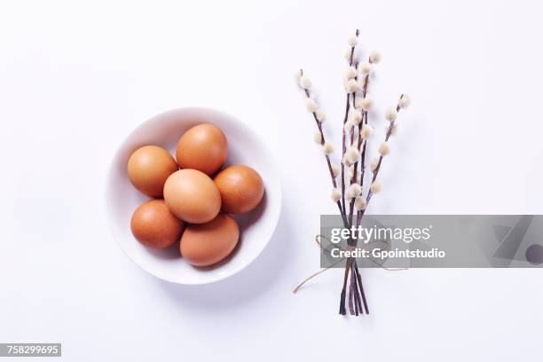 overhead view of eggs in bowl and bunch of pussy willow on white background - easter poland stock pictures, royalty-free photos & images