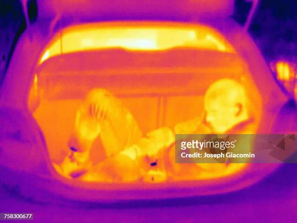 thermal image illustrating people smuggling - human trafficking stock pictures, royalty-free photos & images