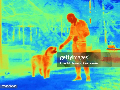 Thermal image of man with dog Thermal image of man with dog