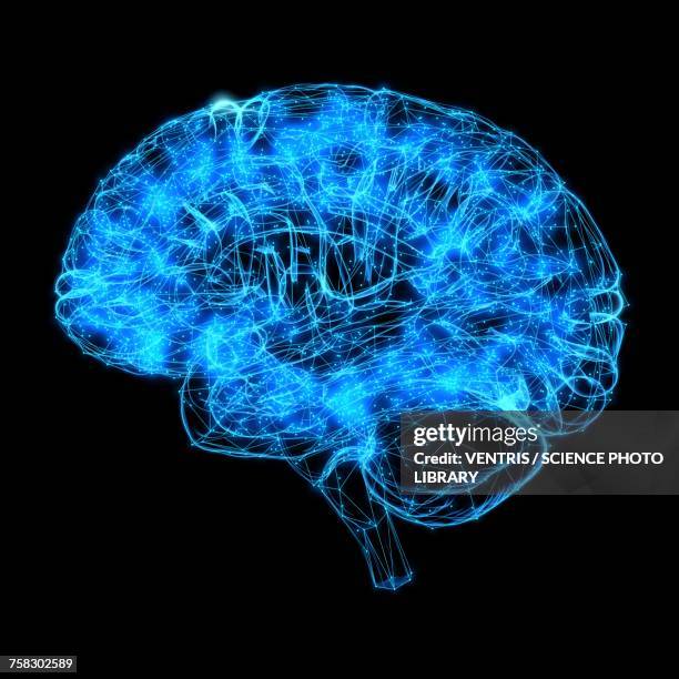 human brain, illustration - nervenzelle stock-grafiken, -clipart, -cartoons und -symbole