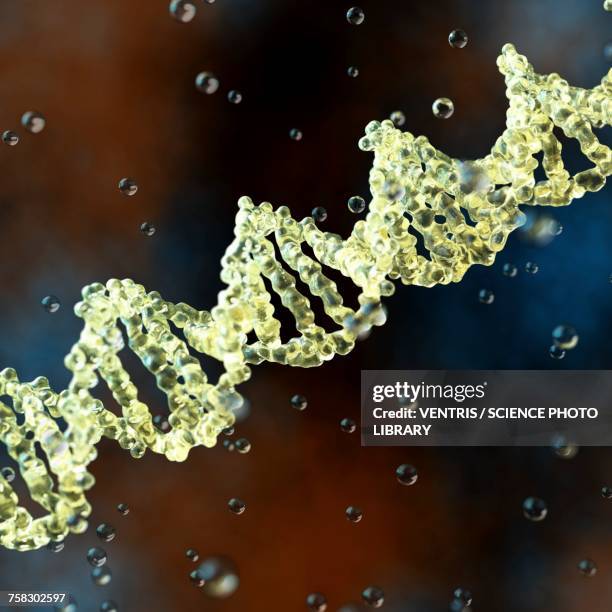 String Image Like Dna 168 Dna String Stock Photos, High-Res Pictures, and Images - Getty Images