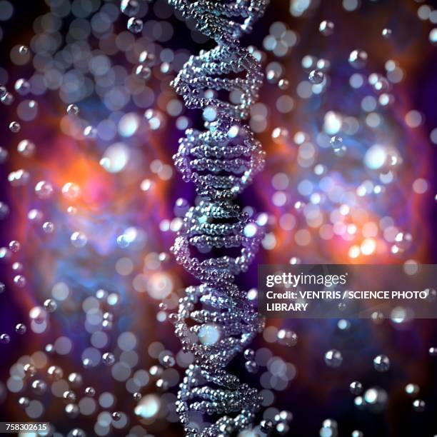 String Image Like Dna Dna String Photos and Premium High Res Pictures - Getty Images