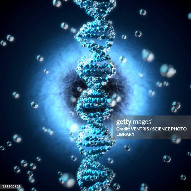 String Image Like Dna Dna String Photos and Premium High Res Pictures - Getty Images