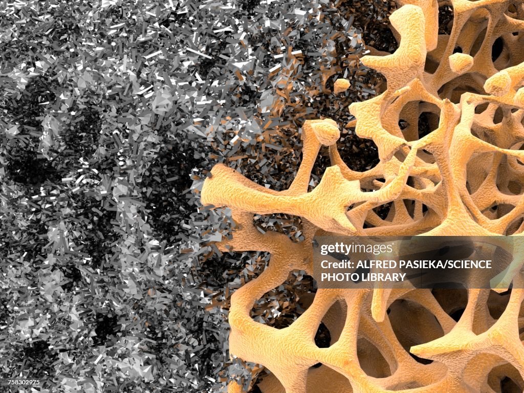 Bone structure and nanomaterial, illustration