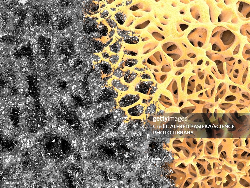 Bone structure and nanomaterial, illustration