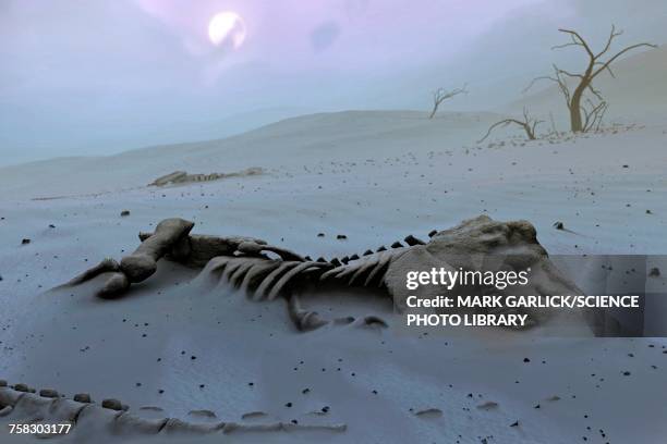 stockillustraties, clipart, cartoons en iconen met tyrannosaurs rex skeleton - krijt mesozoïcum