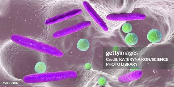 bacteria inside dental cavity, illustration - plaque bacteria stock illustrations
