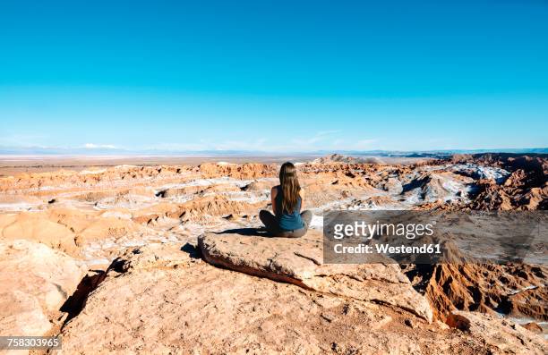 chile, atacama desert, back view of woman sitting on a rock looking at view - valle de la muerte 個照片及圖片檔