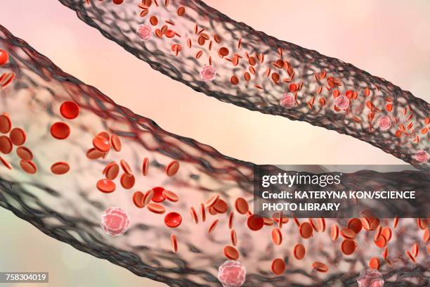 blood vessel with blood cells, illustration - arterioles stock illustrations