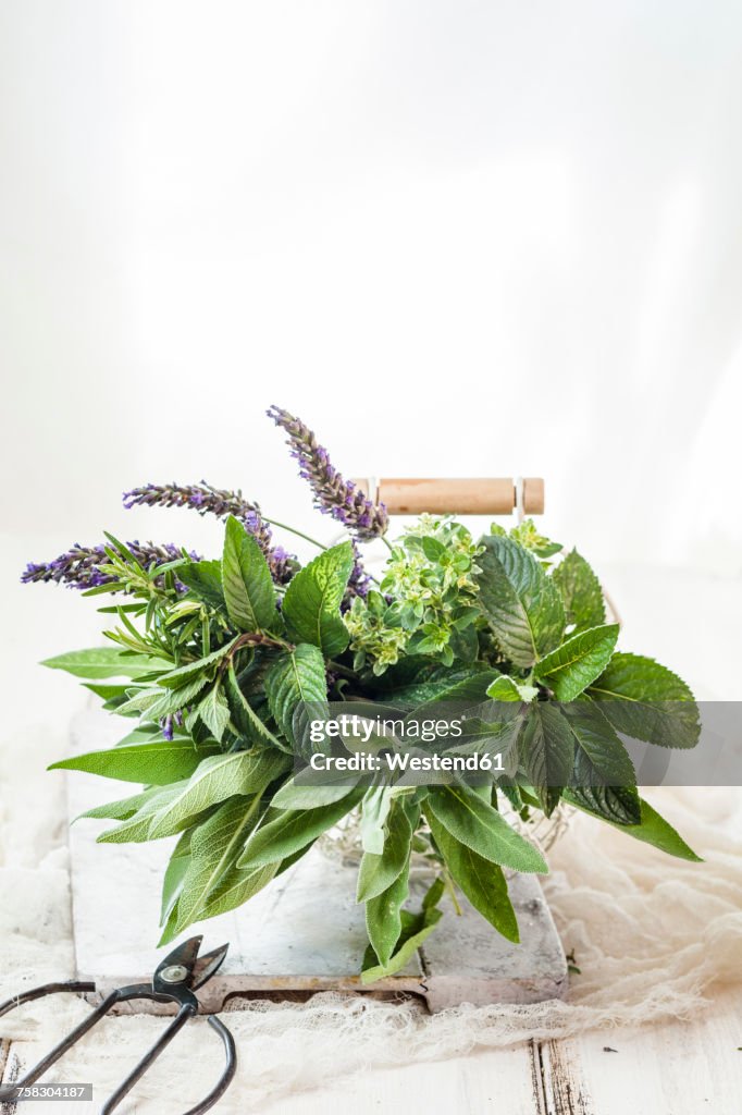 Basket of variuos fresh herbs