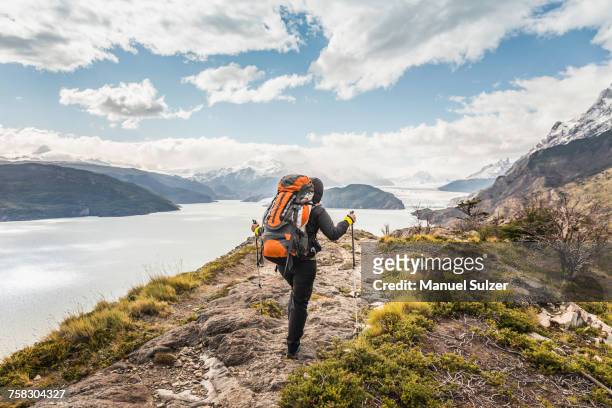 rear view of female hiker hiking alongside grey glacier lake, torres del paine national park, chile - puerto natales stock-fotos und bilder