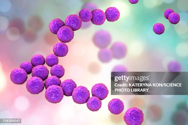 enterococcus faecalis bacteria, illustration - enterococcus stock illustrations