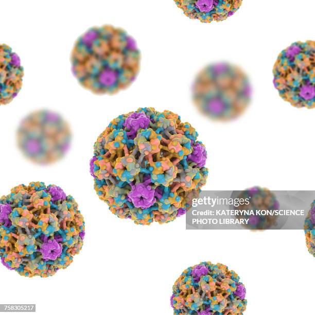 ilustraciones, imágenes clip art, dibujos animados e iconos de stock de human papilloma viruses, illustration - membrana