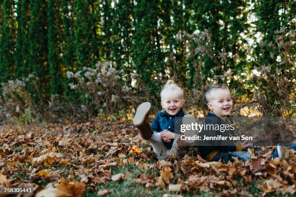 portrait of male and female toddler twins sitting amongst autumn leaves in garden - whitby ontario canada stock pictures, royalty-free photos & images