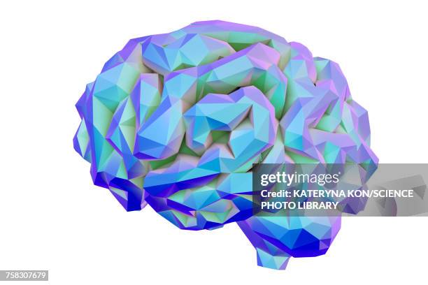 human brain, low-polygonal illustration - human brain white background stock illustrations