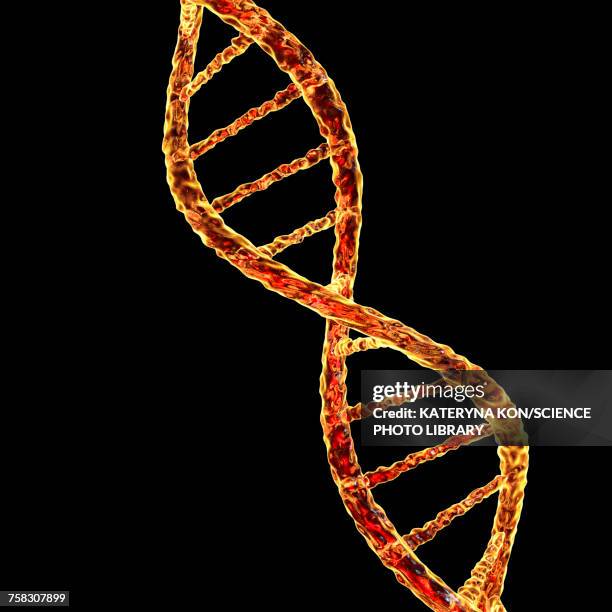 dna molecule, illustration - helix stock illustrations