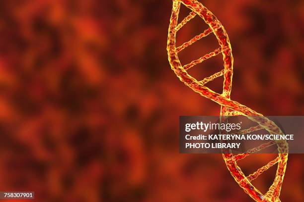 dna molecule, illustration - helix stock illustrations