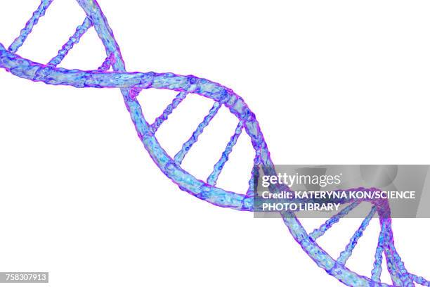 dna molecule, illustration - helix model stock illustrations