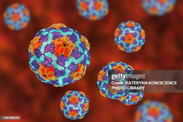 hepatitis a virus, illustration - capsid stock illustrations