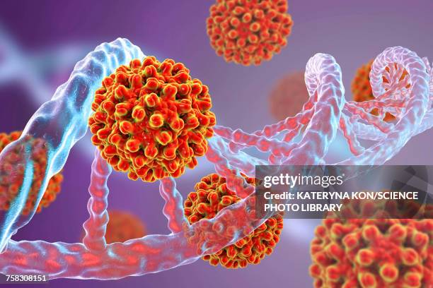 illustrazioni stock, clip art, cartoni animati e icone di tendenza di hepatitis b viruses and dna, illustration - cancro tumore