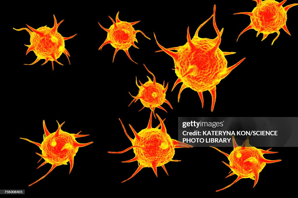 Parasitic microorganisms, illustration