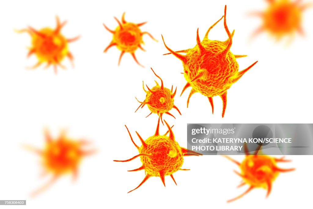 Parasitic microorganisms, illustration