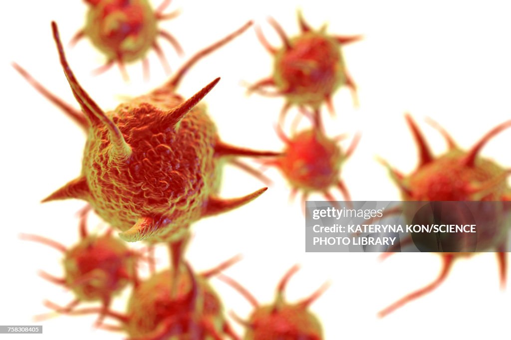 Parasitic microorganisms, illustration