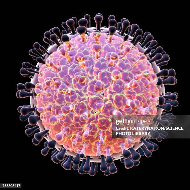 rotavirus particle, illustration - vomiting stock illustrations