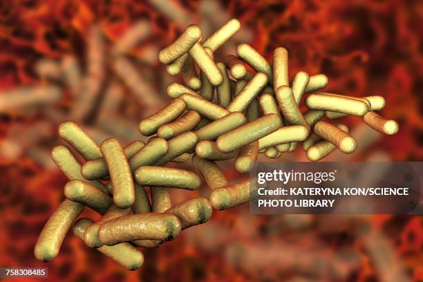 shigella bacteria, illustration - shigella stock illustrations