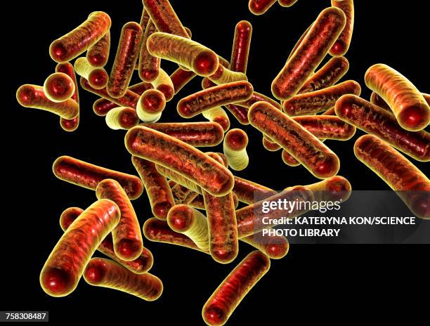 shigella bacteria, illustration - shigella stock illustrations