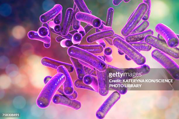 ilustraciones, imágenes clip art, dibujos animados e iconos de stock de shigella bacteria, illustration - membrana celular