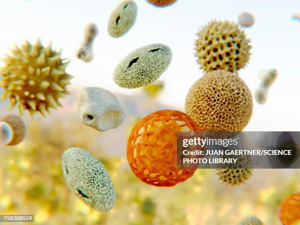 illustrazioni stock, clip art, cartoni animati e icone di tendenza di pollen, illustration - allergia