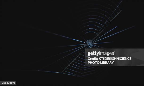 stockillustraties, clipart, cartoons en iconen met spider web, illustration - web